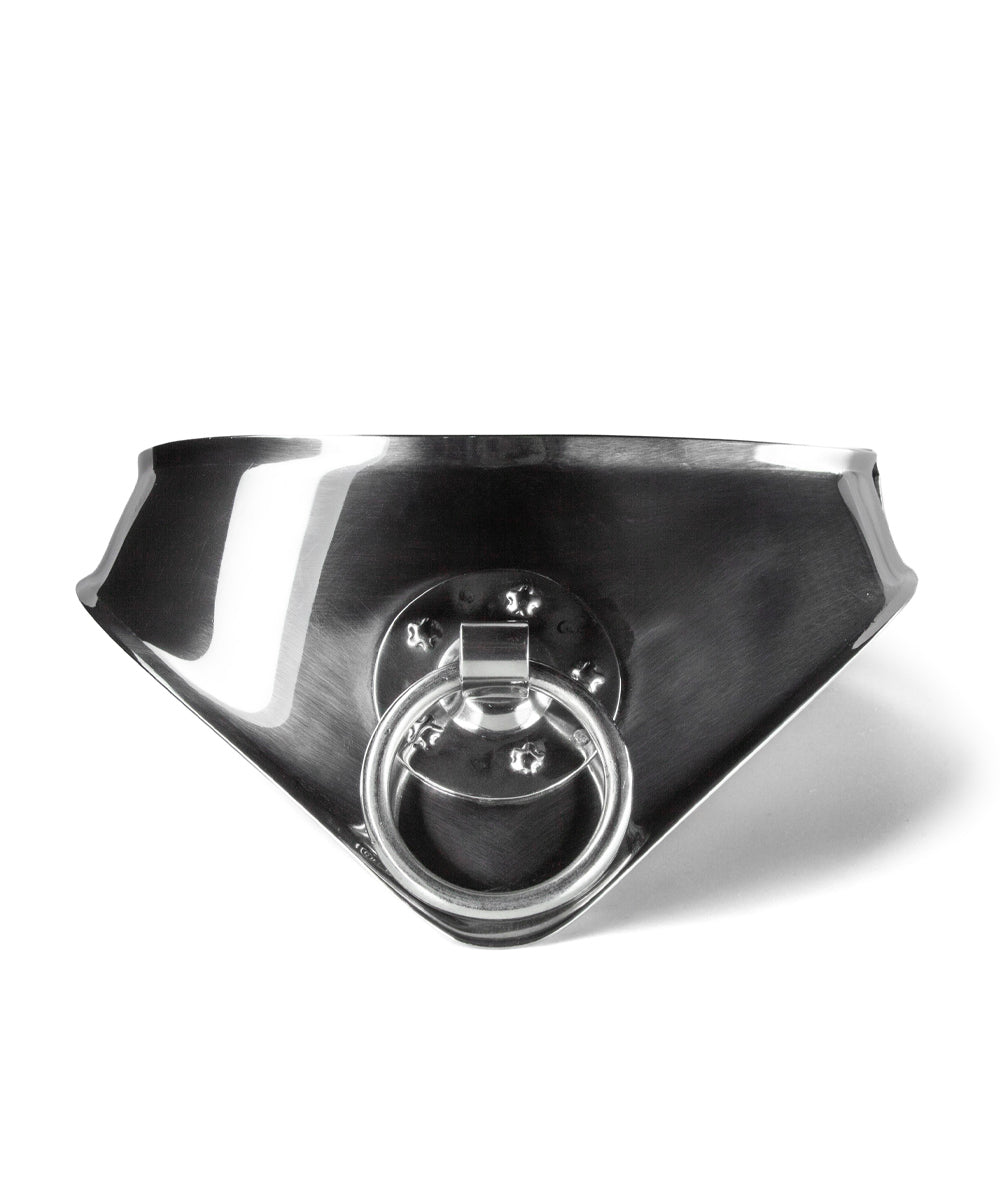 Metallic collar with a central ring on a white background