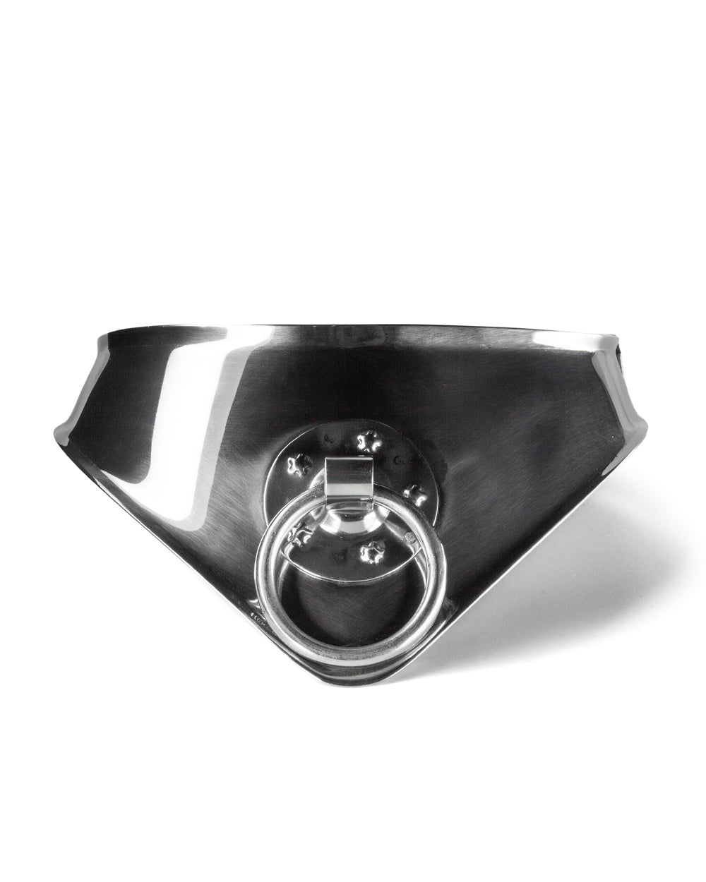 Metallic collar with a central ring on a white background