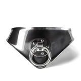 Metallic collar with a central ring on a white background