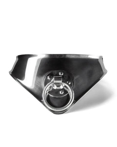 Metallic collar with a central ring on a white background