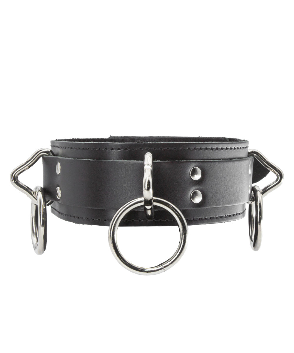 The 3-Ring Collar With A Locking Buckle is shown against a blank background. It has three metal triangle rings, each one with an O-ring attached to it. There is a smaller triangle ring attached to a tab at the back of the collar.