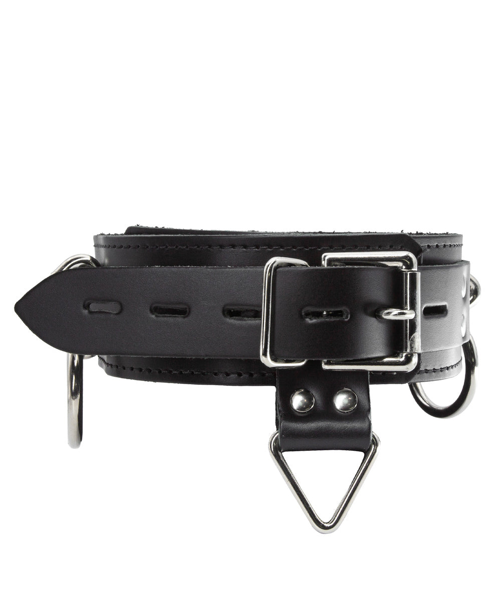 The 3-Ring Collar With A Locking Buckle is shown from the back against a blank background. It has three metal triangle rings, each one with an O-ring attached to it. There is a smaller triangle ring attached to a tab at the back of the collar.