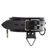 The 3-Ring Collar With A Locking Buckle is shown from the back against a blank background. It has three metal triangle rings, each one with an O-ring attached to it. There is a smaller triangle ring attached to a tab at the back of the collar.