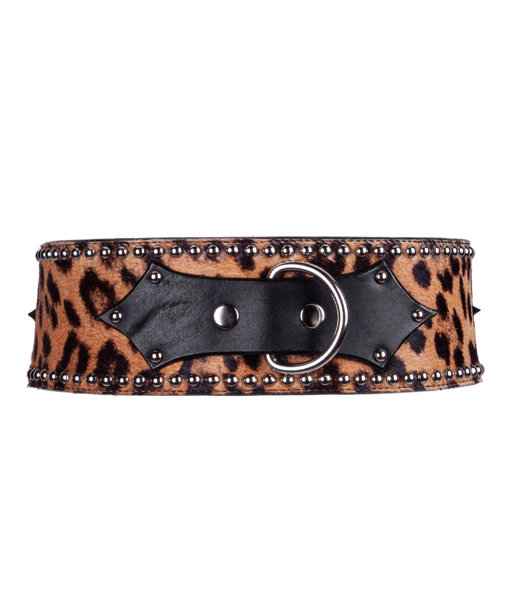 Leopard print waist cuff with black leather accents and studs on a white background