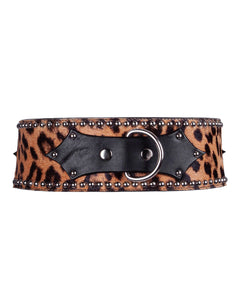 Leopard print waist cuff with black leather accents and studs on a white background