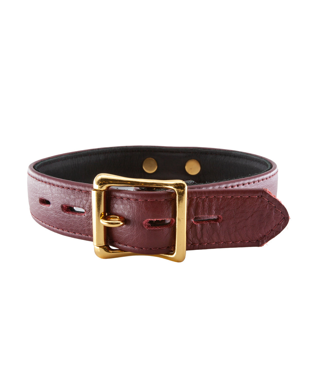 The JT Signature Collection Collar is displayed from the back against a blank background, showing the lockable buckle in the back. The collar is adjustable.