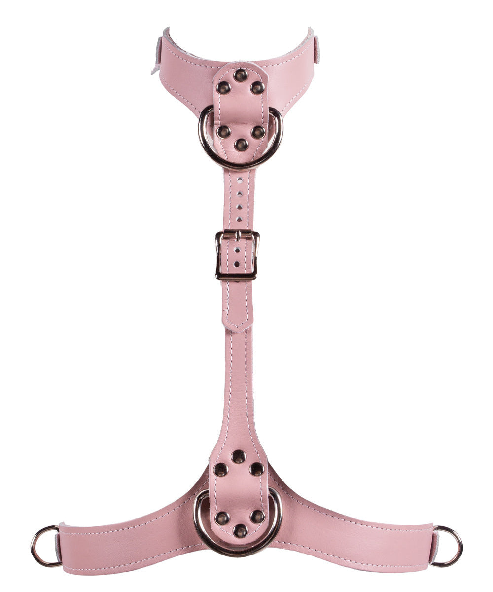 Pink leather harness with metal rings on a white background