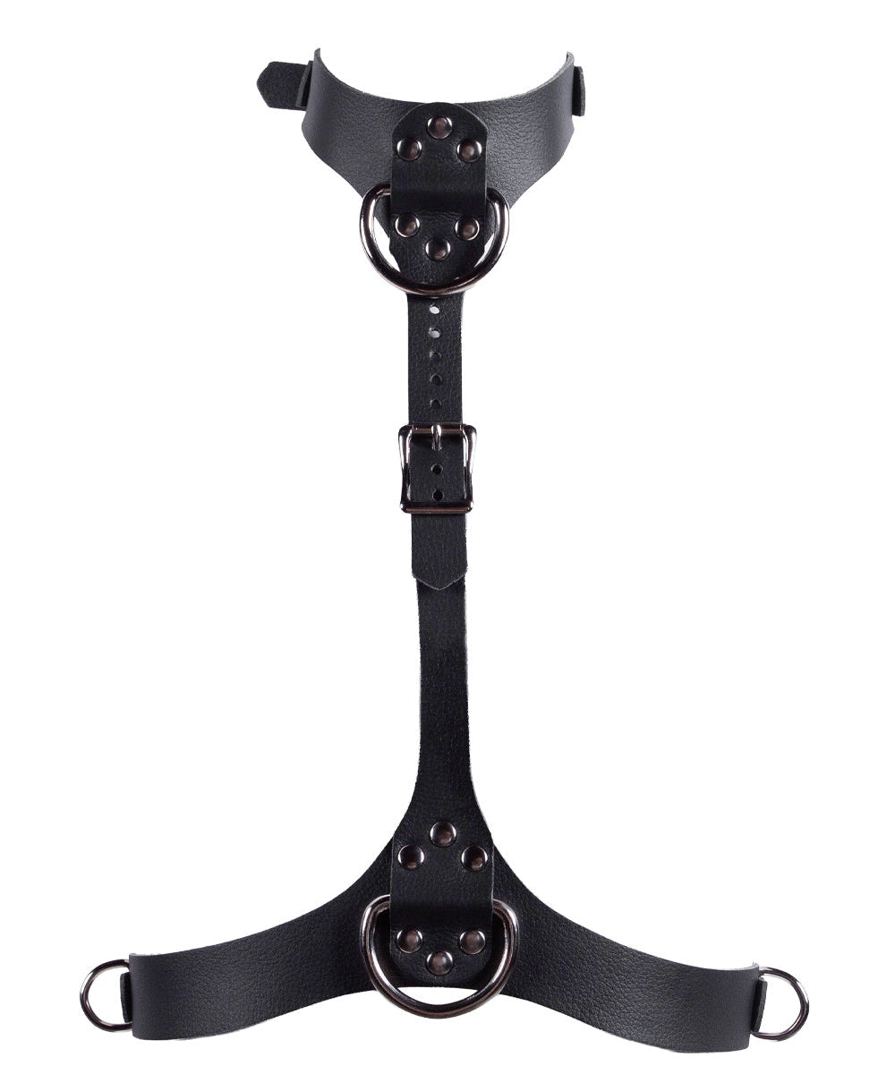 Black leather harness with metal rings on a white background