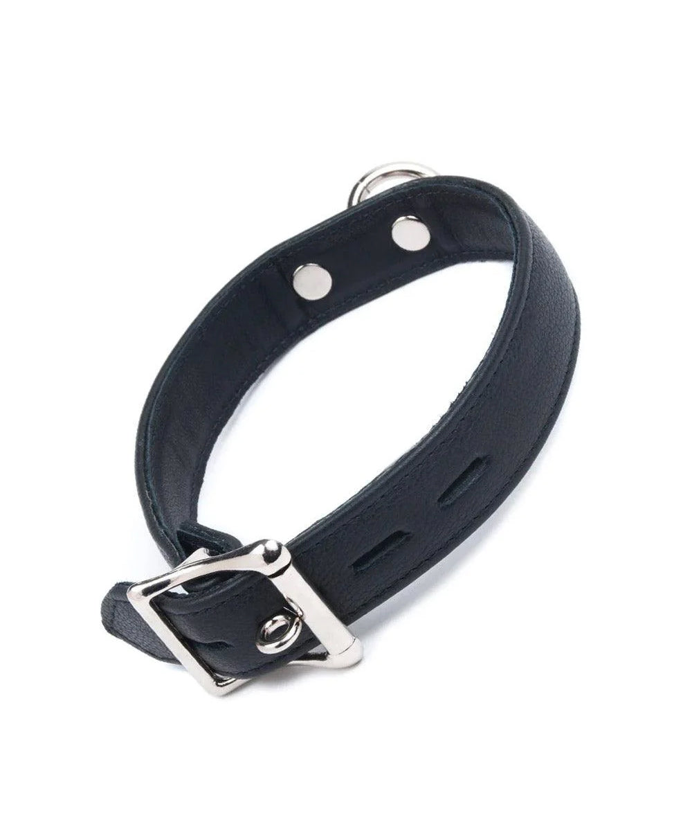 The Premium Garment Leather Collar in black is shown from the back against a blank background, displaying the silver buckle.