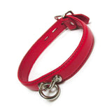 The red premium garment leather collar is shown on a white background.