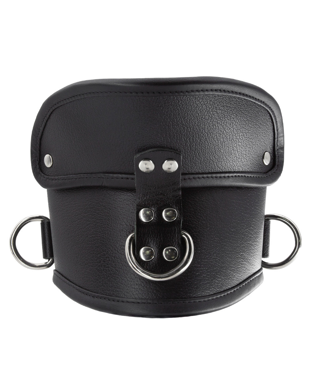 The Deluxe Padded Leather Posture Collar is shown from the front against a blank background.
