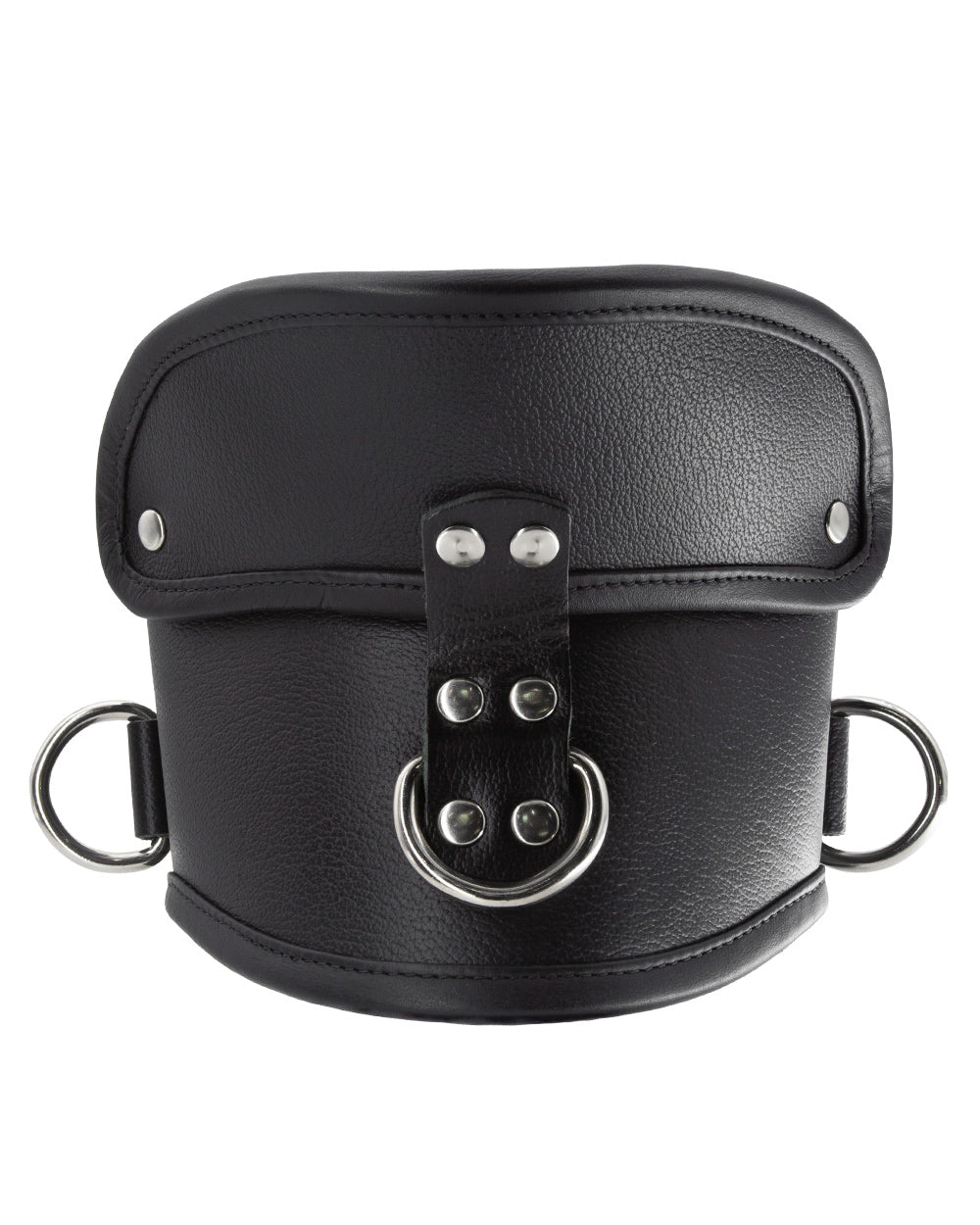 The Deluxe Padded Leather Posture Collar is shown from the front against a blank background.