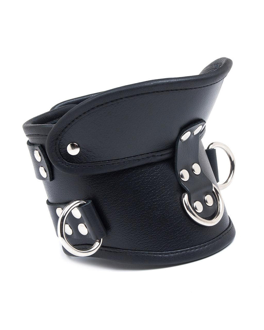 The Deluxe Padded Leather Posture Collar is shown from the front against a blank background. It is made of black leather with silver hardware. The collar has a D-ring in the center and one on each side. At the top, the collar angles outwards.