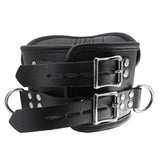 The Deluxe Padded Leather Posture Collar is shown from the back against a blank background. It has two adjustable straps and lockable buckle closures.