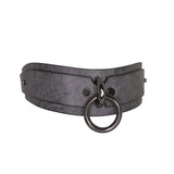 The Neon Coyotes lunar collar in ash is shown on a white background