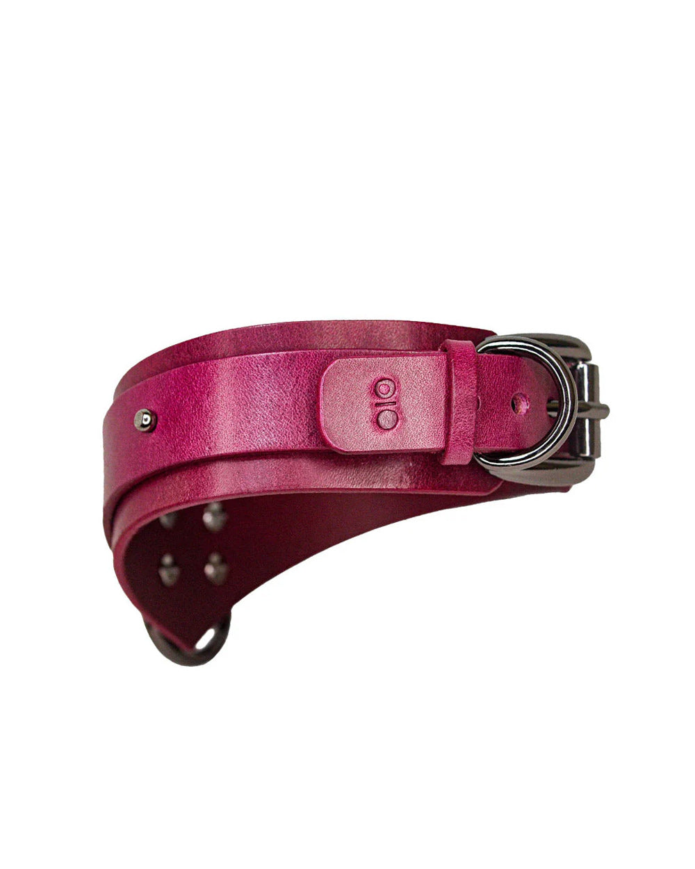 The back of the Neon Coyotes nova bordeaux collar is shown on a white background